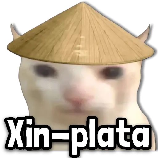 Memes en Tendencia 🔥