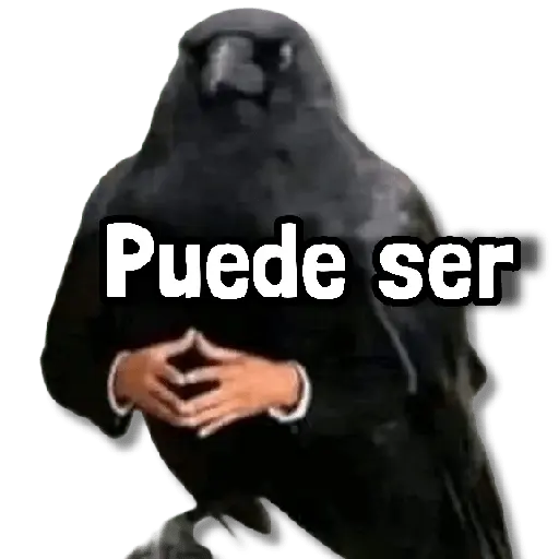 Memes en Tendencia 🔥