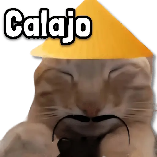Memes en Tendencia 🔥