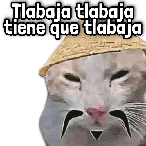Memes en Tendencia 🔥