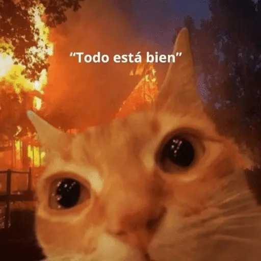 😺 DECILO CON UN GATO 😺