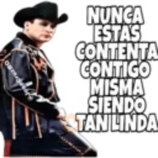 Valentin Elizalde sticker 27