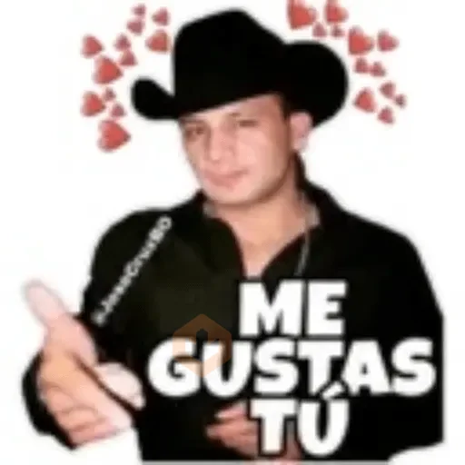 Valentin Elizalde sticker 25