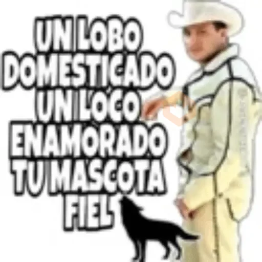 Valentin Elizalde sticker 13