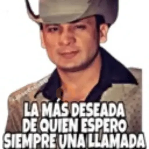 Valentin Elizalde sticker 15