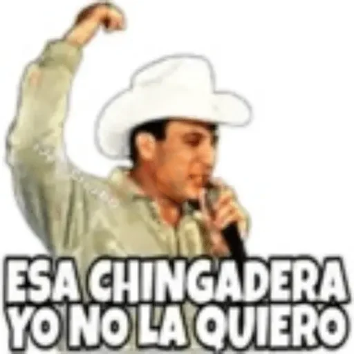 Valentin Elizalde sticker 17