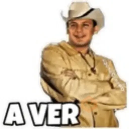 Valentin Elizalde sticker 18