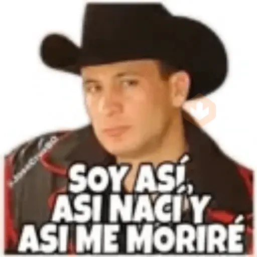 Valentin Elizalde sticker 28