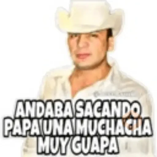 Valentin Elizalde sticker 19