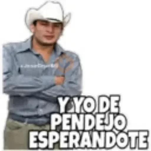 Valentin Elizalde sticker 20