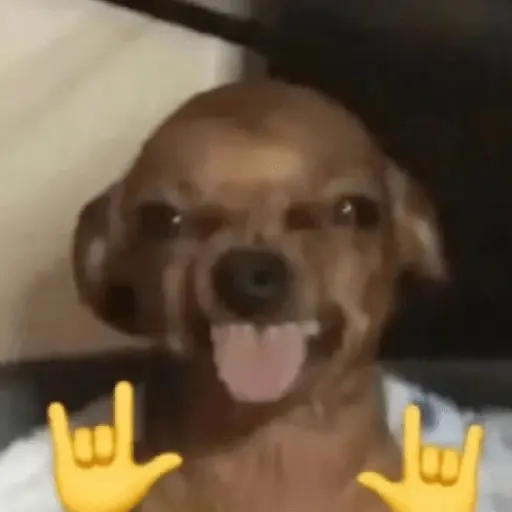 Tiktok Reaction Meme