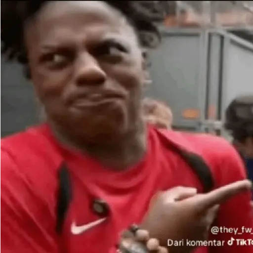 Tiktok Reaction Meme