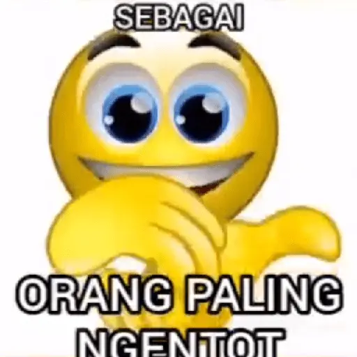 Tiktok Reaction Meme