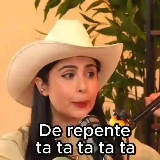 🎙Lupita y Quesito📱Las Alucines