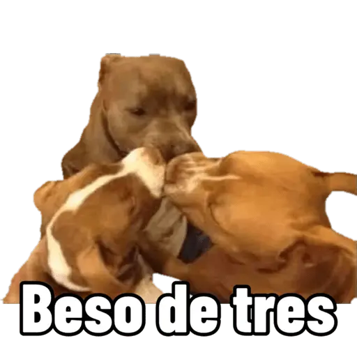 Mis pegatinas