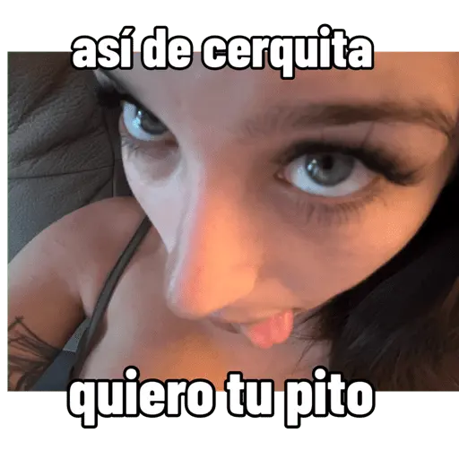 Mis pegatinas
