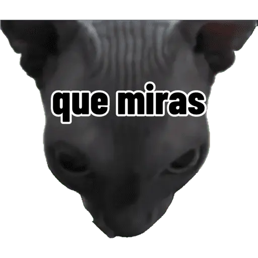 Mis pegatinas