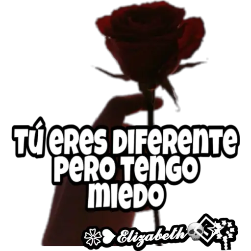 ❥ Frases para Crush