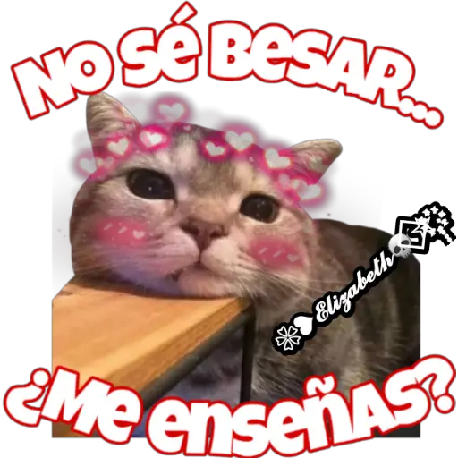 ❥ Frases para Crush