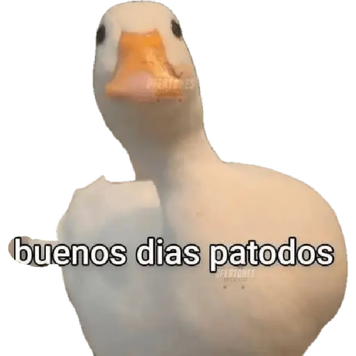 flork