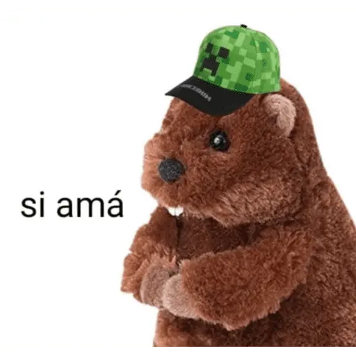 estikers chisyosos