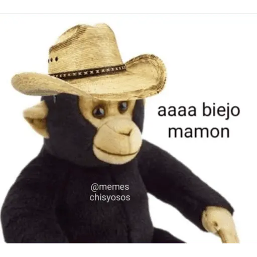 estikers chisyosos