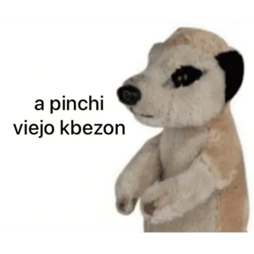 estikers chisyosos