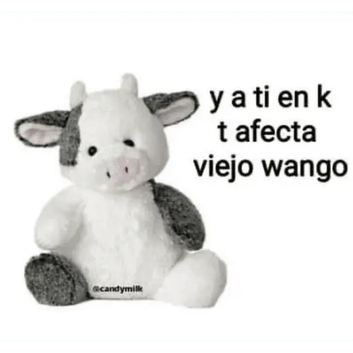 estikers chisyosos