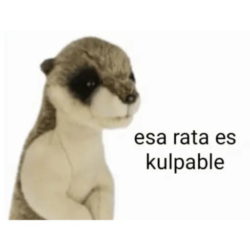 estikers chisyosos