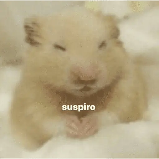 estikers chisyosos