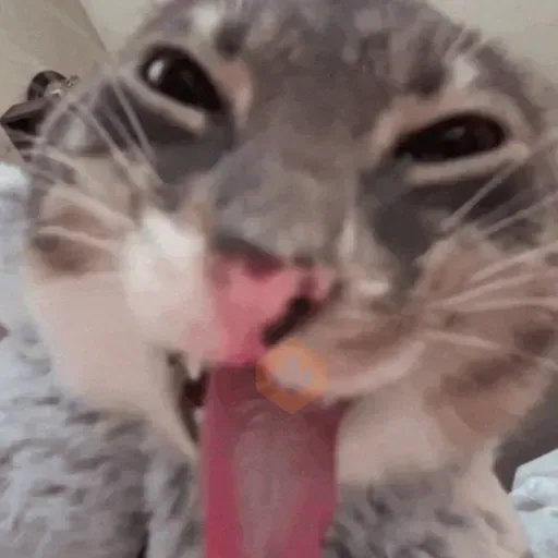 rigby the cat sticker 18