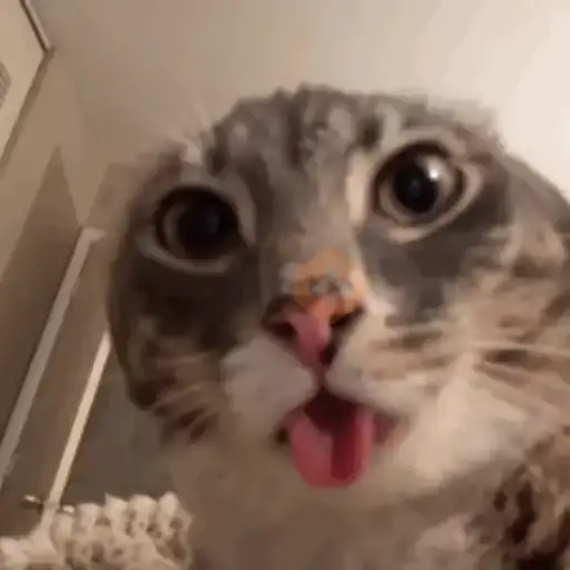 rigby the cat sticker 12