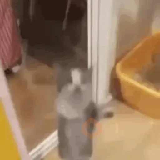 rigby the cat sticker 19