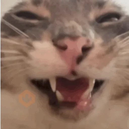 rigby the cat sticker 20