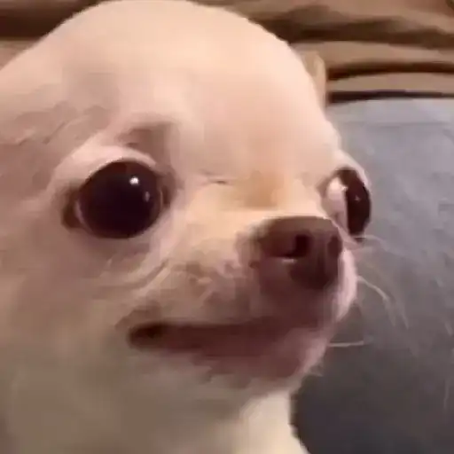 reacciones tiktok animadas