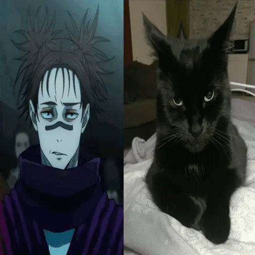 Jujutsu Kaisen 2