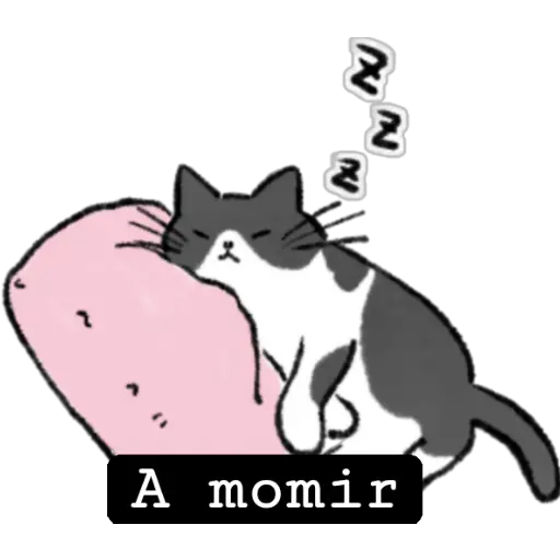 ⭐ Algo Cute ⭐(2) 