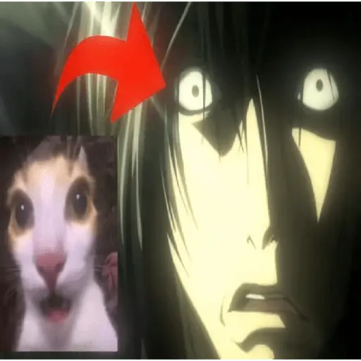 Anime 🤪