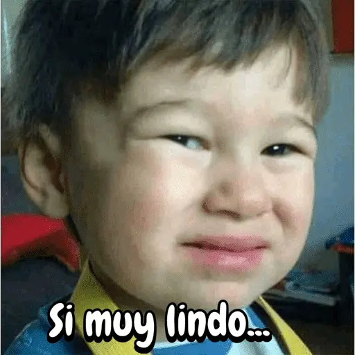 Reacciones de babys 👶🏼✨