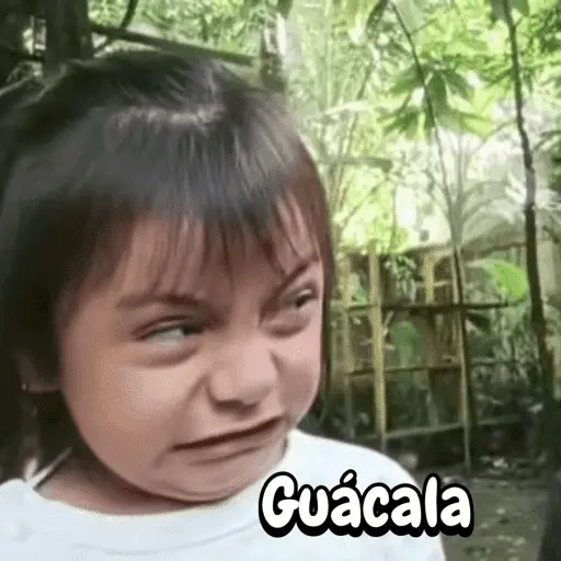 Reacciones de babys 👶🏼✨