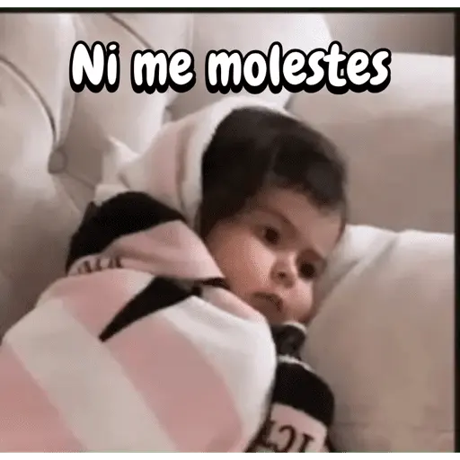 Reacciones de babys 👶🏼✨