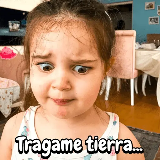 Reacciones de babys 👶🏼✨