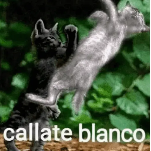 😎 STICKERS SHITPOST 25 🤙