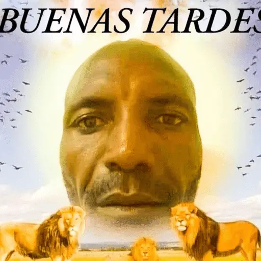 😎 STICKERS SHITPOST 25 🤙