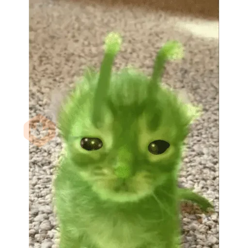 Memes - Gato Alien Verde 🟢🐈 sticker 18