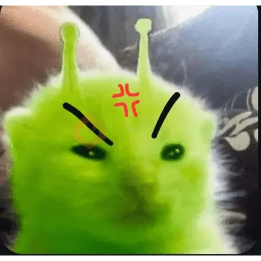 Memes - Gato Alien Verde 🟢🐈 sticker 13