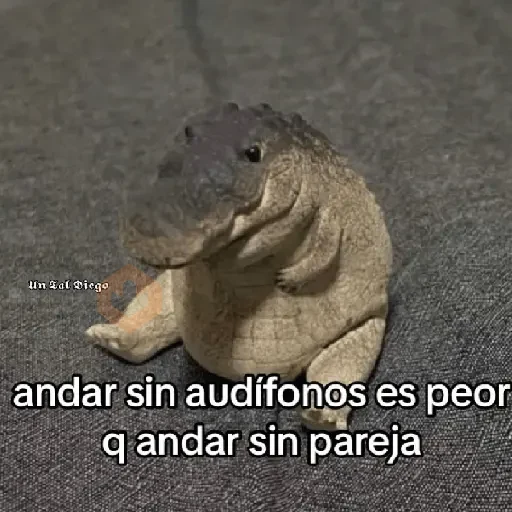 Memes random ☕ 18 👌 sticker 11