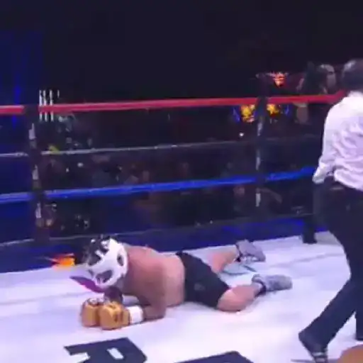 Ring Royale 🥊 Abelito 💥 preview
