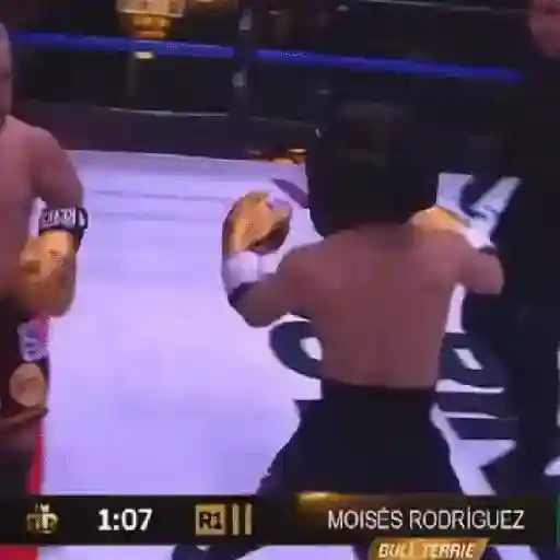 ring royale