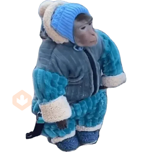 🐵🐒 Changos con Frío 🐒🐵 sticker 13